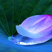 2_card