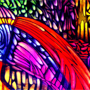 25_evolution_card