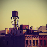 Nyroofdisplay_card