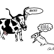 Cow___mouse_cheesesteak_card