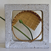 Ik214_thumb