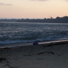 Dsc04852_thumb