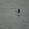 Dsc04648_thumb