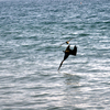 Dsc04754_thumb