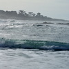 Dsc02974_thumb