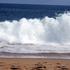 Dsc04491_thumb