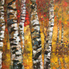 Birch_trees_in_golden_fall_2_thumb