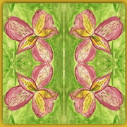 Lilies_done_with_ariel_001_mirror_2_-_4_lillies___border_card