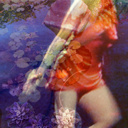 Goldfish_dancer_3_card