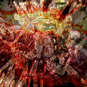 Inner_garden_card
