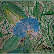 Img_5977_darker___1_card
