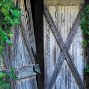 Doorvines_card