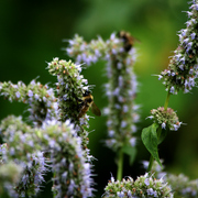 Img_8632b2_card