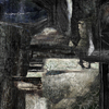 Night_vision