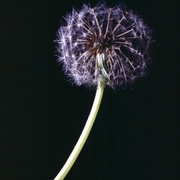 Ph-10067_card