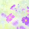 Img_7260_copy_thumb