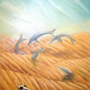 Delphin_card