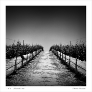 No-28c_card