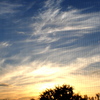 Dsc_0076_thumb
