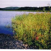 Skebergdalen_003_card