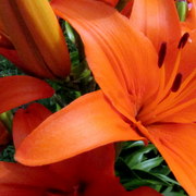 Img_4129_card