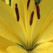 Img_4132_card