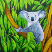 Coala_2_card