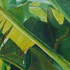 Bananaleaves_thumb