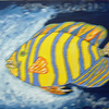 Blue_striped_fish_thumb