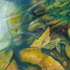 Pond_thumb