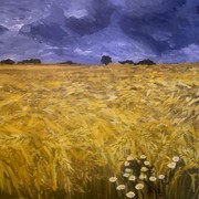 B_harvest_card