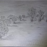 Inspired_by_trees_of_upton_court_park_august2010_card