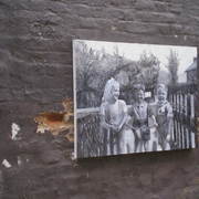 P1010023_card