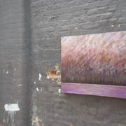 P1010020_card