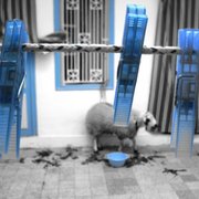 12438_215562205475_670905475_4506133_7877344_n_card