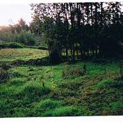 Skebergdalen_card