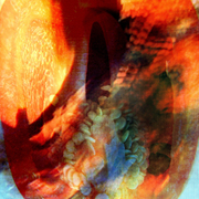 Capsicum_2