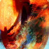 Capsicum_2