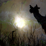 Sunset_2_card