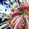 Inner_flower_thumb