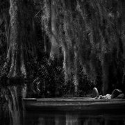 Bayou_dreams_card
