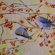 R_sidensvans_card