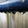 After_the_rain_thumb