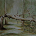 Tree_-_stuck_by_lightning_square