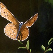 R_landing2_card