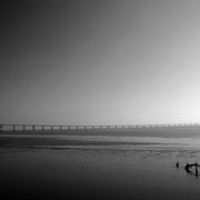 Lisboa_7083_jfr_card