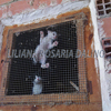 Fauna_1_para_concurso_expandido_con_sello_thumb
