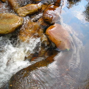 Flow_of_water_card