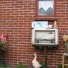 G_nse_disco_1_thumb