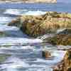 Dragonara_view_thumb